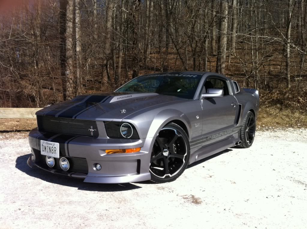 Giovanna Dalar-5 on Ford Mustang